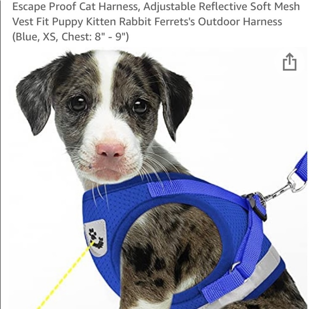 New dog harness